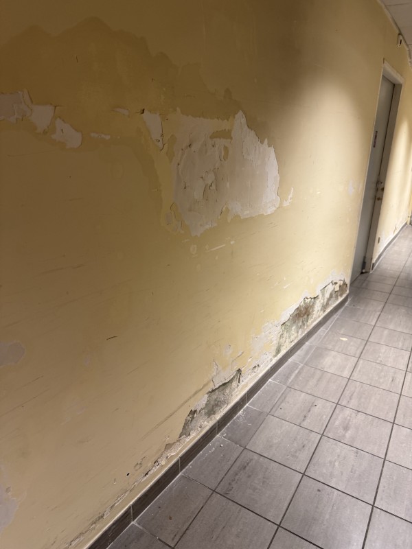 
EVO Pose d’un boîtier d’assèchement pour mas provençal à Aix-en-Provence







Mas provençal et murs humides à Aix-en-Provence