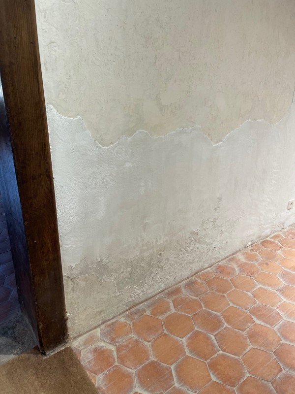 humidité pied de mur lyon expertise à Dijon
