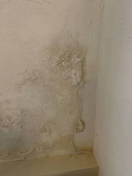 Salpêtre sur les murs en Bretagne