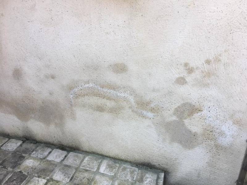 taches sombres sur les bas des murs de la façade 