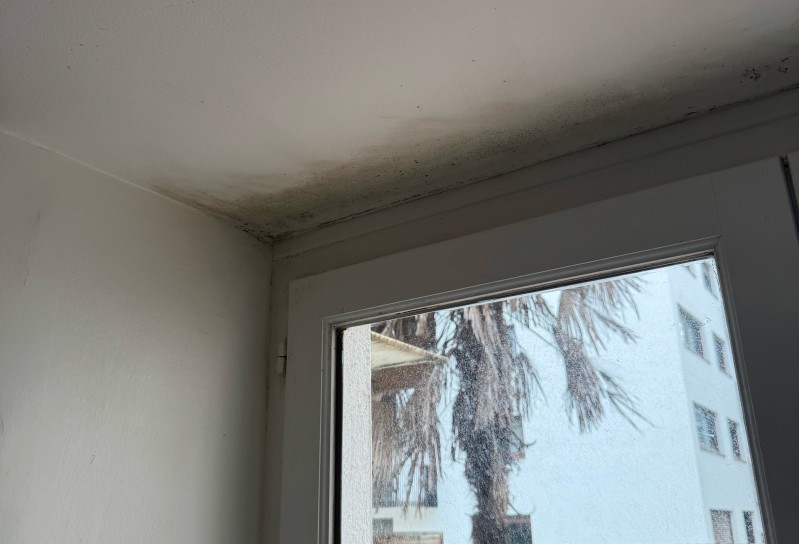 Assèchement des murs et traitement des remontées capillaires dans le Val-de-Marne