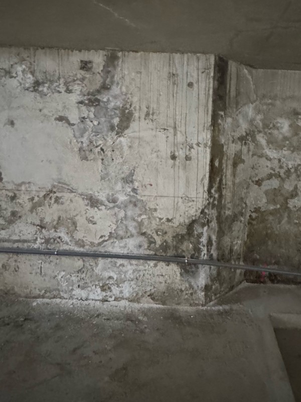 Humidité et remontées capillaires Noiseau (94)  Axe Assechement cuvelage sous sol