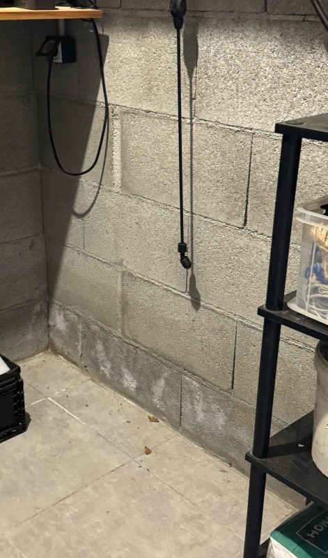 Expert en détection et traitement des infiltrations d’humidité à Lyon et Ouest Lyonnais – Maison et bâtiment