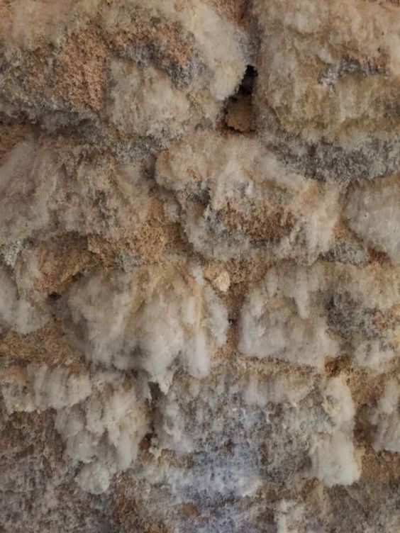 traces de salpetre sur mur solution