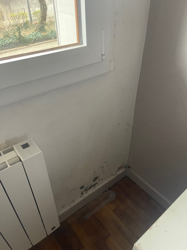 Expertise problème humidité appartement oullins moisissures sur les fenêtres 