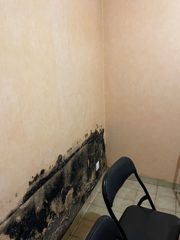 Traces de moisissures noires sur les murs dans un appartement parisien d’où provient ce problème ?