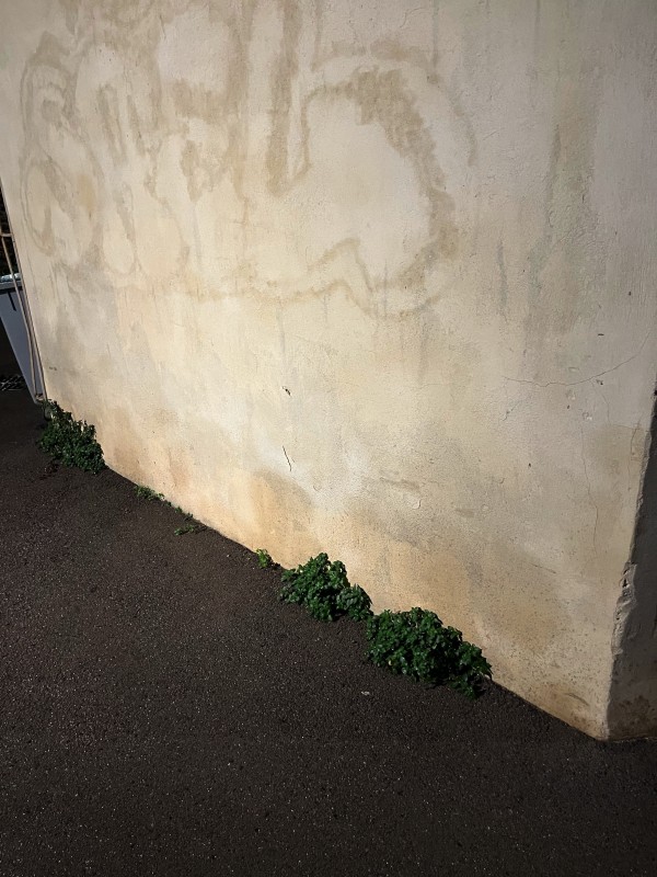 humidité des murs 