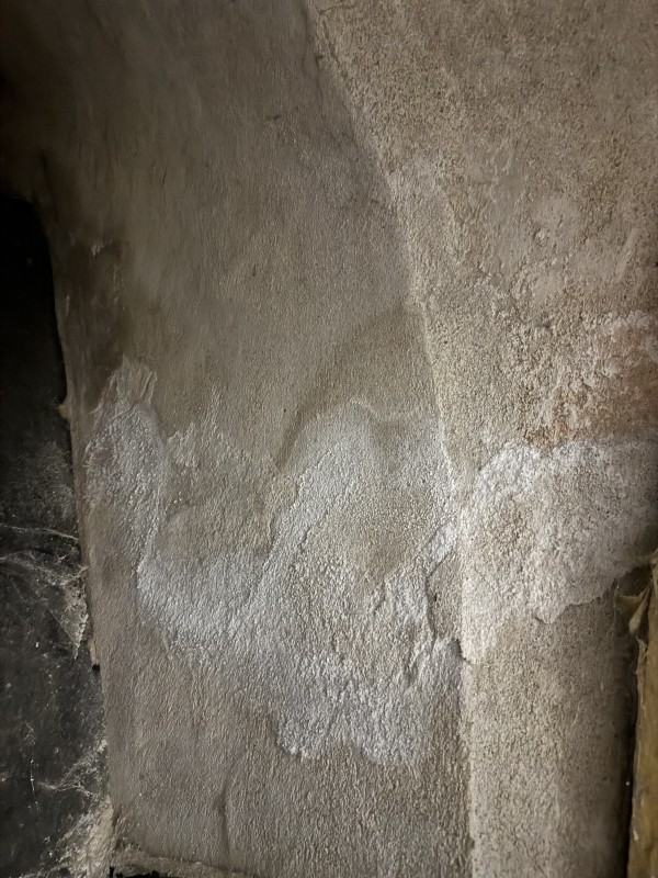 salpêtre sur les murs origine et traitement Paris et Lyon 