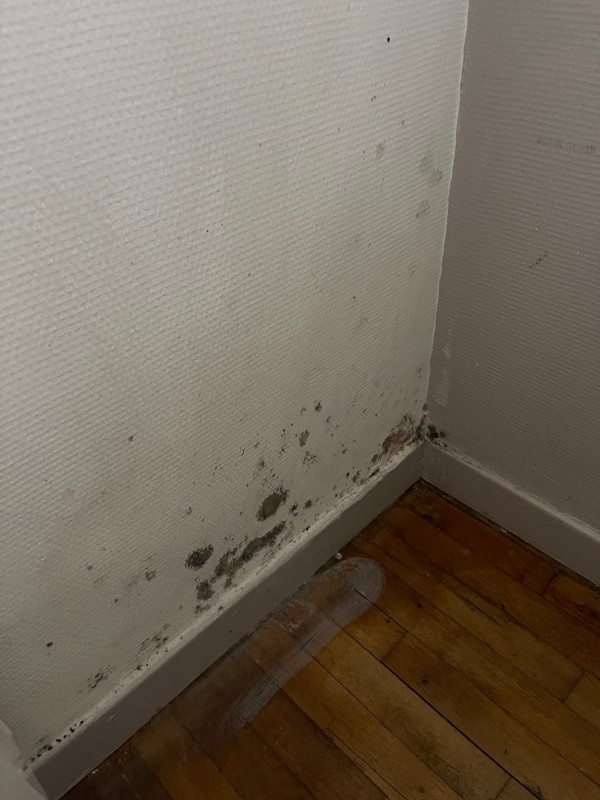 Expertise problème humidité appartement oullins moisissures sur les fenêtres 