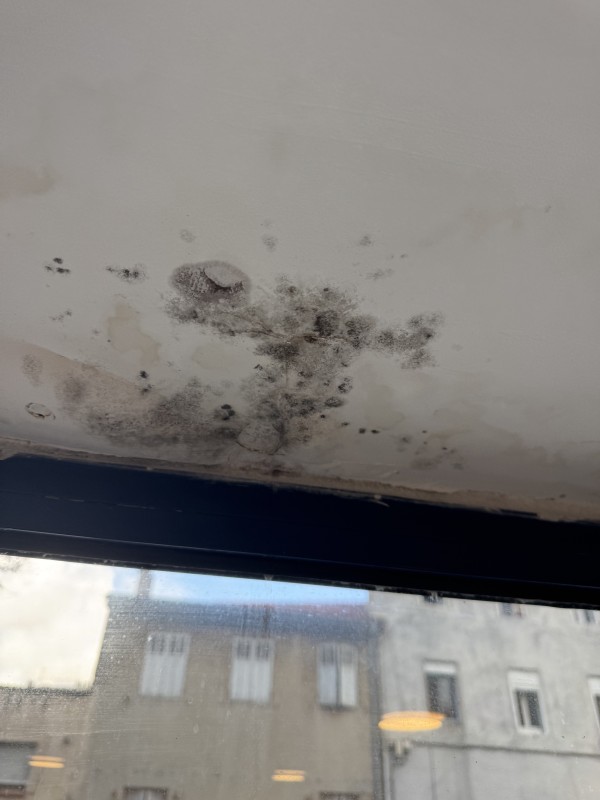 Traitement de l’air par photocatalyse EVI K 140 : la solution murale définitive contre l’humidité à Lyon