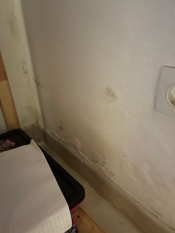 Dégat des eau dans mon logement