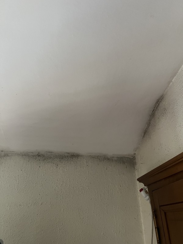 Qui faire intervenir pour moisissure et condensation maison à Caluire-et-Cuire ?
