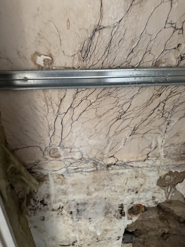 Diagnostic, identification de champignons et traitement de l'air par pulvérisation antifongique manométrique à Saint-Étienne dans la Loire