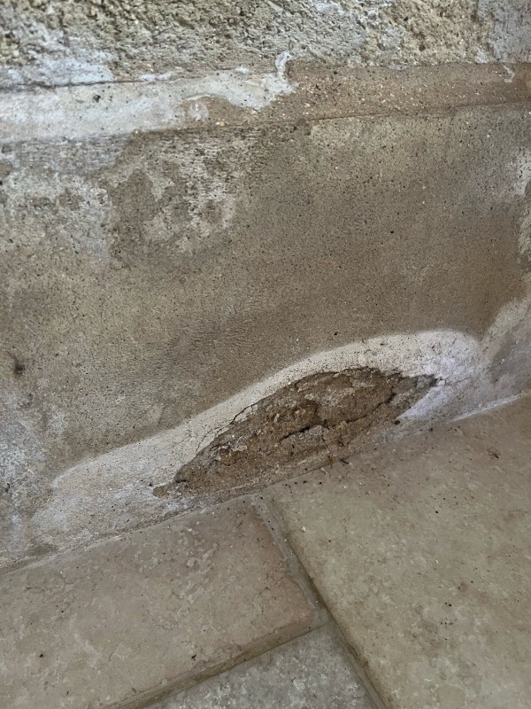 traces blanches sur les murs axe assèchement à Versailles