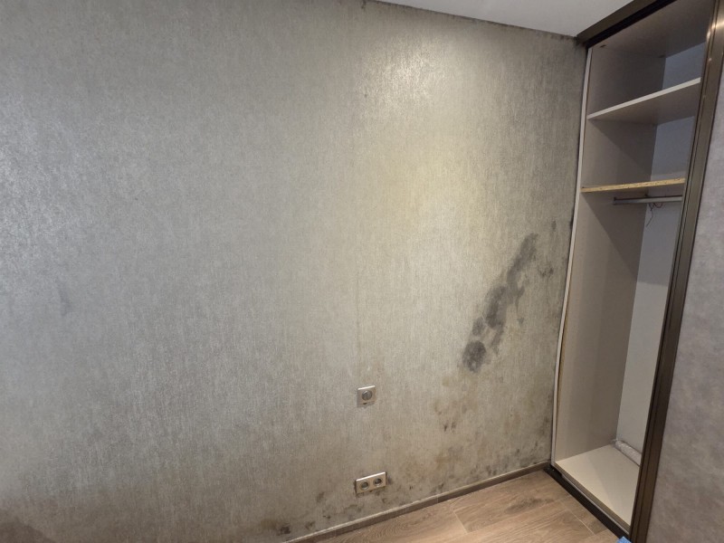 Prolifération de moisissures et champignons dans un appartement à Lyon : causes, dangers et traitements professionnels efficaces