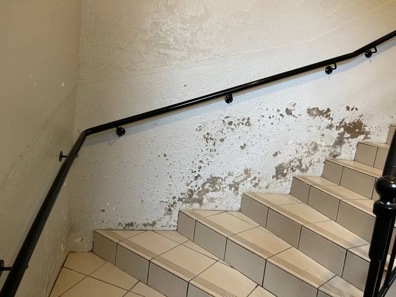 la remontée capillaire dans une montée d'escalier à lyon