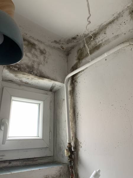 Notre zone d'activité pour ce service Expert humidité pour mur intérieur d'un bâtiment