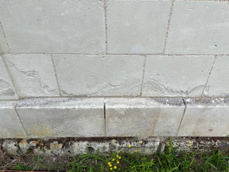 dégradations des murs de l'immeuble à paris