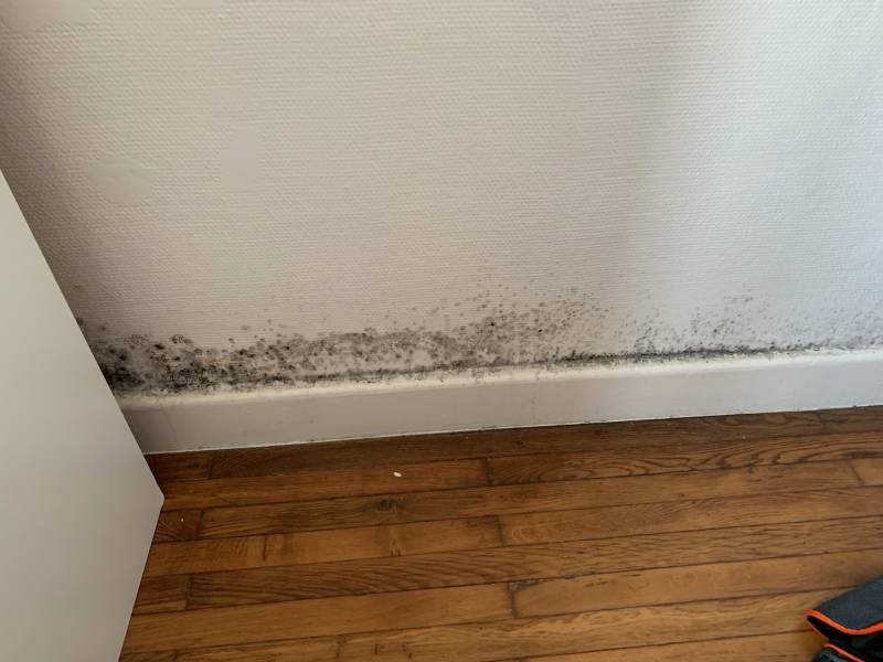 condensation traces noires sur les murs en angle ou bas de murs à Marseille