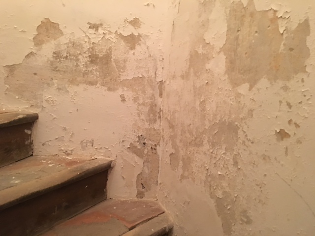 Murs humides peintures qui cloquent