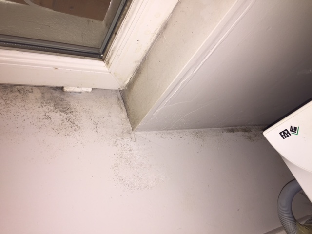Humidité sur les murs et angles de fenêtres