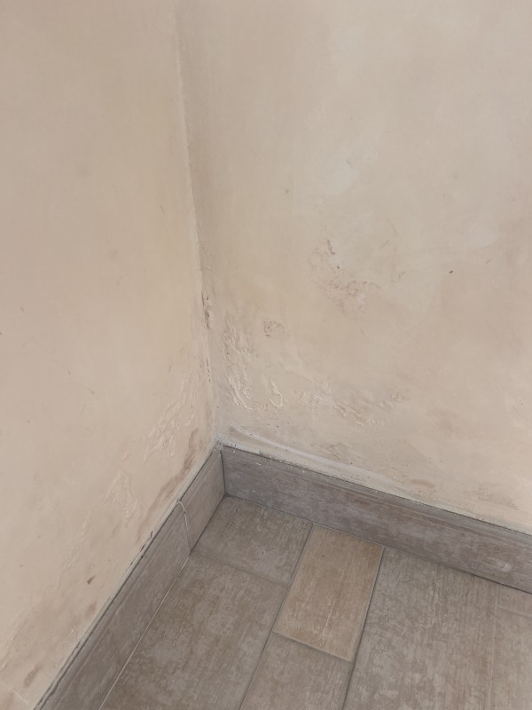 Quelles sont les principales causes de l'humidité dans une chambre à Tassin la Demi Lune ?