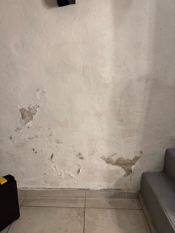 Expertise de l'humidité structurelle à Paris et en Île-de-France : solutions par procédé électronique