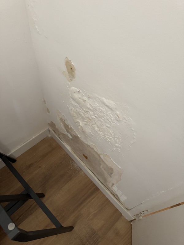 Axe Assèchement – Experts en assèchement de maisons, votre solution contre l’humidité et les murs humides