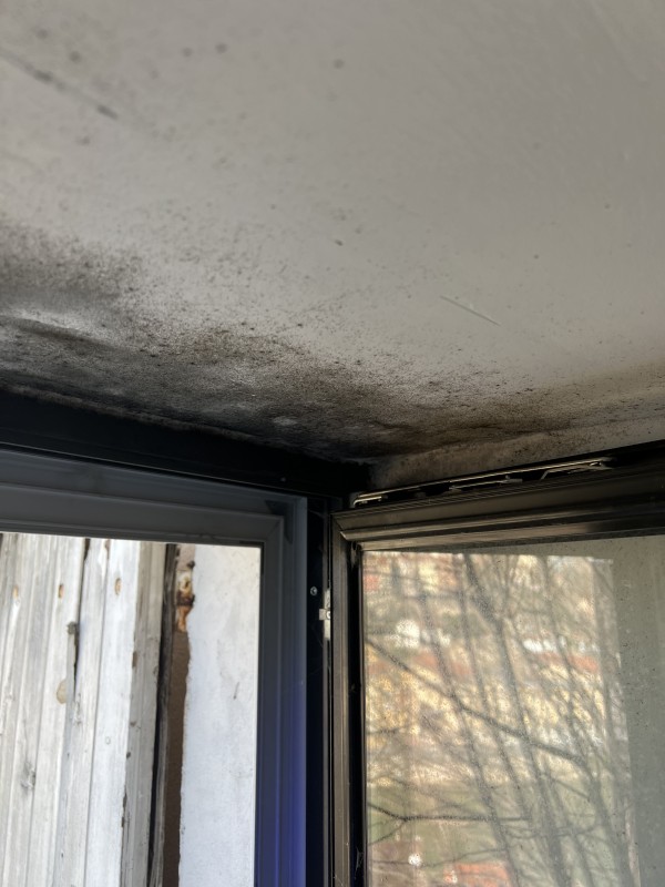 Comment la ventilation par insufflation d'air aide-t-elle à traiter l'humidité et les moisissures à Villefranche et en Beaujolais ?