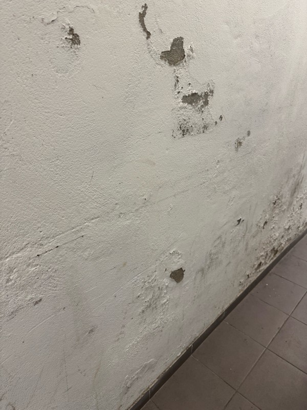 Remontées capillaires à Paris : assèchement rapide et durable avec Axe Assèchement