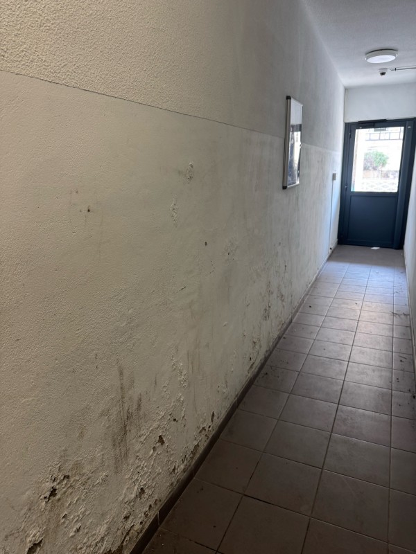 Remontées capillaires : comprendre et traiter l’humidité avec Axe Assèchement