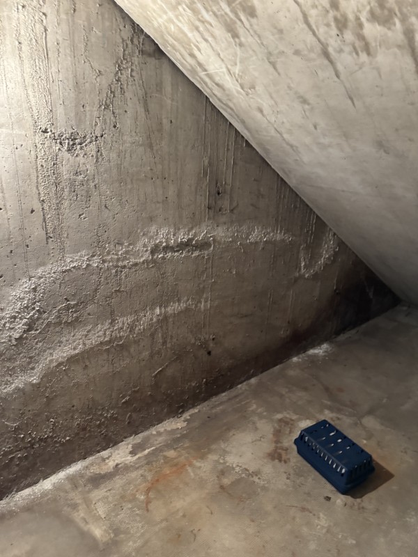 Humidité de la maison en Bretagne : l’expertise Axé Assèchement à Quimper et Rennes