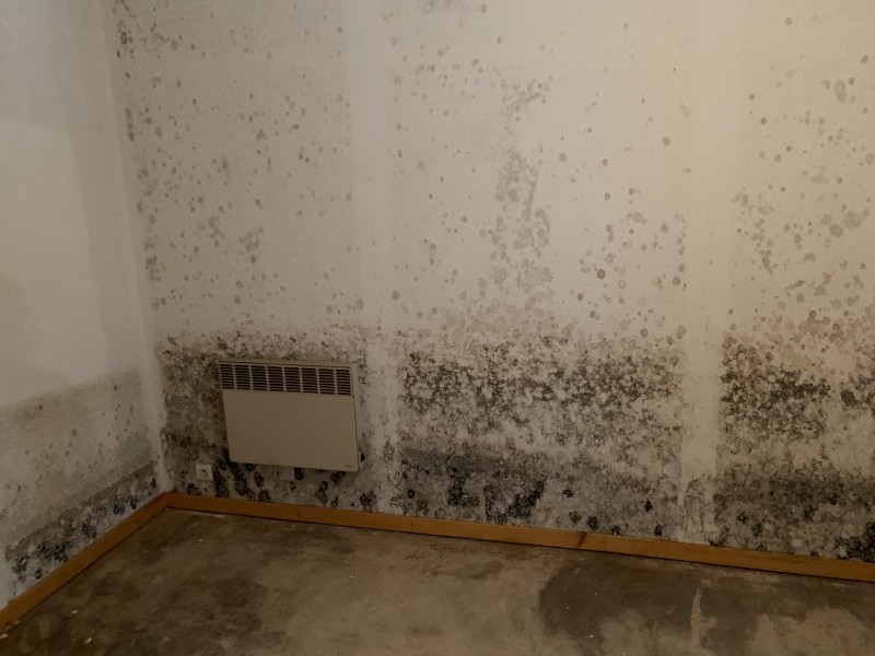 Trouver un expert en humidité des murs certifié RGE Qualibat charbonnières