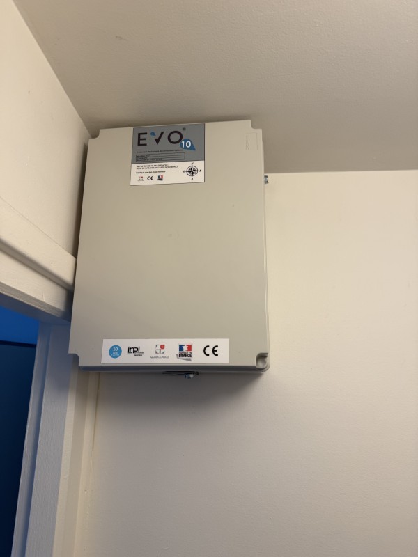 Salpêtre et efflorescences hygroscopiques : traitement de l'humidité structurelle à Dijon et Beaune