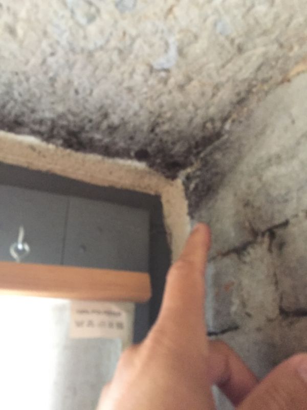 Humidité dans l'habitat