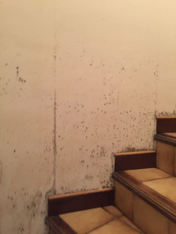 Mur en placo humide rénovation dans l'air