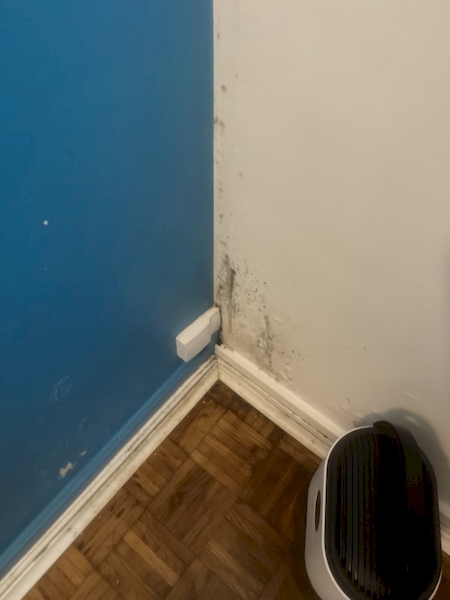 Notre zone d'activité pour ce service Expert pour diagnostic et devis humidité maison