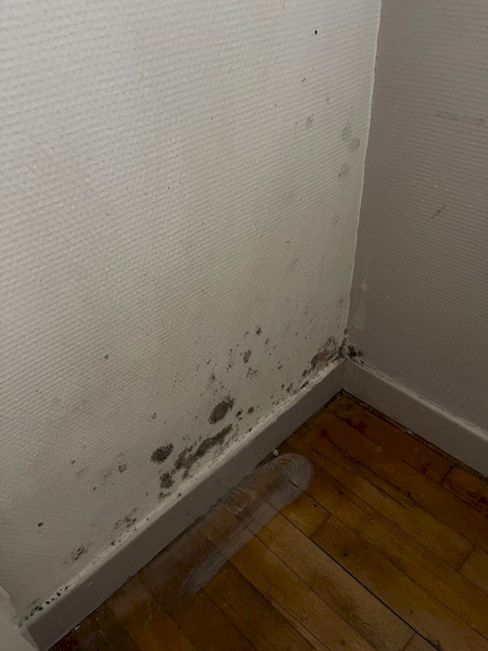 Nos prestations sur le secteur de Dijon en Bourgogne