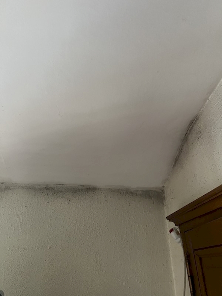 Nos prestations sur le secteur de Dijon en Bourgogne