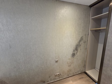 Nos prestations sur le secteur de Dijon en Bourgogne