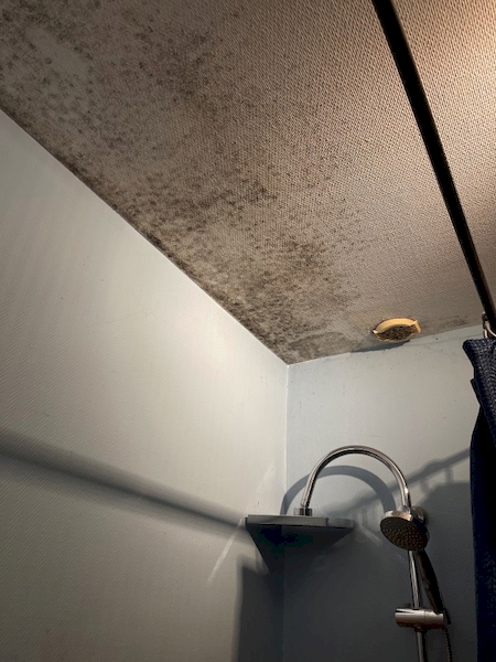 Notre zone d'activité pour ce service Assèchement des mur par procédé électronique avec solution EVO