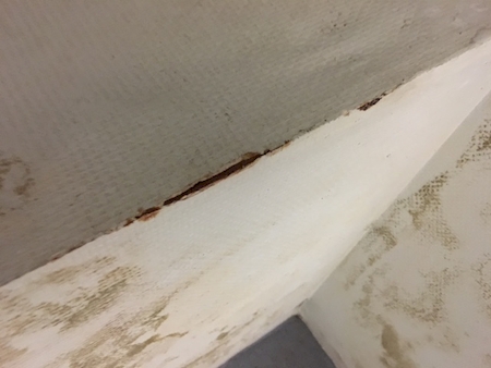 Notre zone d'activité pour ce service Appareil assèchement de mur numide de maison