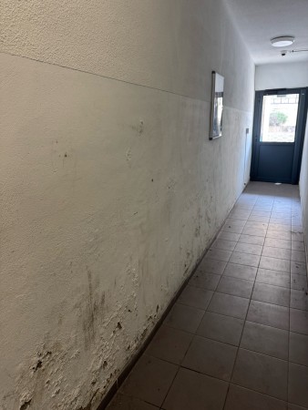Notre zone d'activité pour ce service Trouver un traitement définitif contre les remontées capillaires