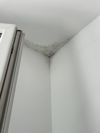 Notre zone d'activité pour ce service Traitement anti-humidité pour appartement
