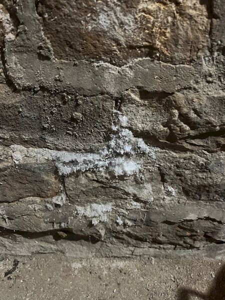 Nos prestations sur le secteur de Annecy en Haute-Savoie